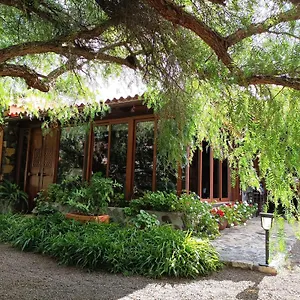 Alda , Los Llanos De Aridane Spanien